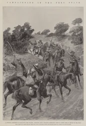 Campagne in de Vrijstaat