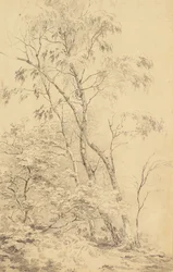 Bomen bij Bromley