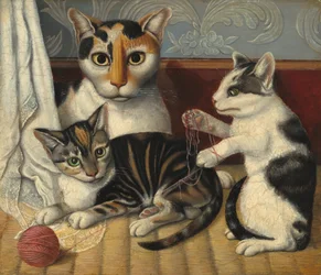 Kat en kittens