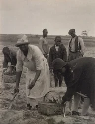 Veldwerk