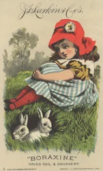 Advertentie voor J. D. Larkin & Cos Boraxine, 1882