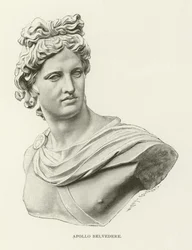 Apollo Belvedere