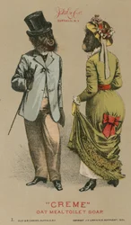 Chimpansees in modieuze kleding