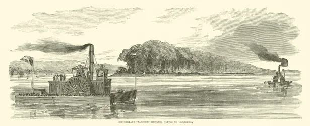 Geconfedereerd transport dat vee naar Vicksburg brengt, februari 1863