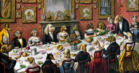 Formeel diner voor honden