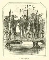 In de moerassen, maart 1863