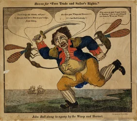 John Bull gestoken tot pijn door de Wasp en Hornet, 1813