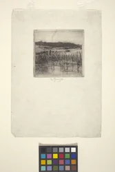 Moeras