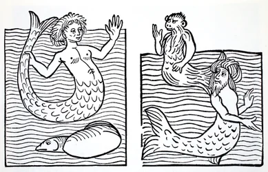 Zeemeerminnen en Zeemeermannen, uit The World Guide to Gnomes, Fairies, Elves and Other Little People door Thomas Keightley (1789-1872) gepubliceerd 1880 (ZW gravure)