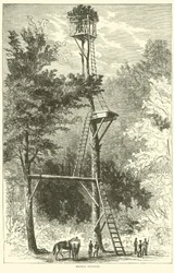 Seinstation, juli 1864