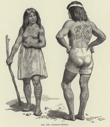 Getatoeëerde Haidas