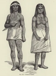 Getatoeëerde Haidas