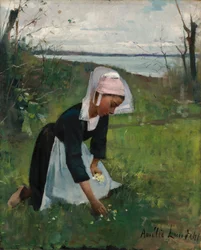 Bretons meisje dat bloemen plukt