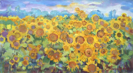 Goudkleurig zonnebloemenveld