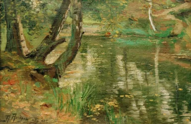 Zomerse Rivierlandschap met Bomen