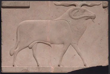 Plaquette met afbeelding van een ram