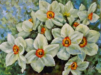 Narcissen in bloei