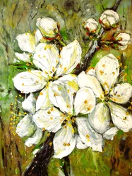 Witte lentebloesems