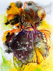 Levendige iris in aquarel