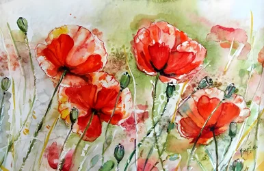 Levendige papavers in aquarel