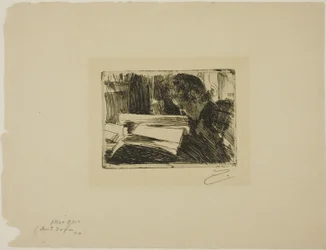 Dame die leest (Mevr. Zorn)