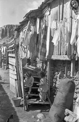 CROTONE - KINDEREN OP DE TRAP,