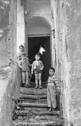 CROTONE - DE WIMPEL