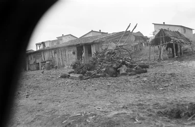 CROTONE - HET DORP VAN DICHTBIJ,