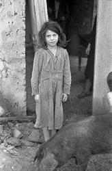 PLATTELAND VAN CROTONE - MEISJE EN VARKEN