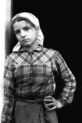 Youg meisje aan het werk als olijvenplukker in Calabrië, Italië, ca. 1955 (z/w foto)