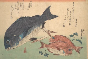 Kurodai en Kodai Vis met Bamboescheuten en Bessen, uit de serie Uozukushi Every V..., 1830s