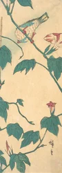Ochtendglorie en vogel, 1840-50