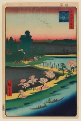 Asuma heiligdom en de verstrengelde kamfer