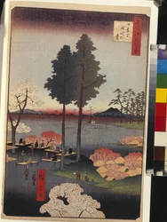 Honderd beroemde uitzichten van Edo: Suwa Bluff in Nippori