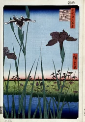 Honderd beroemde uitzichten van Edo: irissen in Horikiri