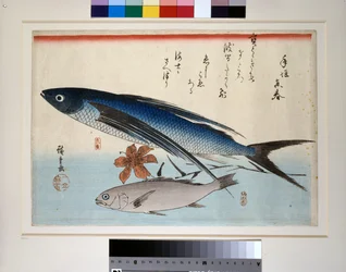 Vliegende vis, ishimochi vis en lelie