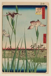 Horikiri Irisatietuin (Horikiri no Hanashobu)