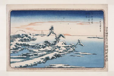 Sneeuw op nieuwjaarsdag in Susaki