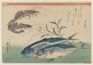 Twee Garnalen met Twee Horsmakrelen, ca.1832-33 (kleur houtsnede op papier)