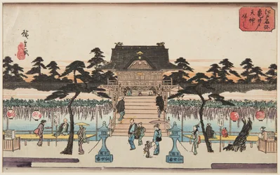 Wisteria bij Kameido Tenjin Schrijn