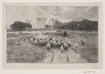 Landschap met schapen en herder