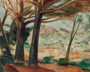 Het bos van Martigues