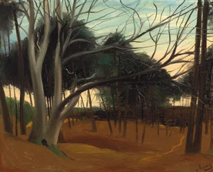 Ondergroei bij Les Lecques