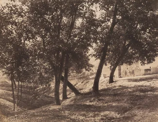 Bomen,ca. 1855 (foto)