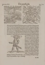 Pagina uit 