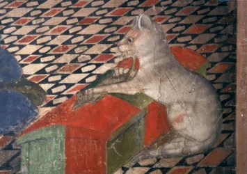 Kathedraal van Atri, Kat