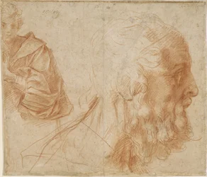 Een jongeling en het hoofd van een oude man Homerus. Studie, ca. 1521