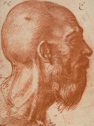 Mannenhoofd in profiel