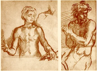Studies naar de figuur van Christus