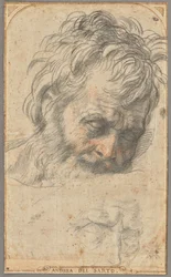 Studie voor het hoofd van de heilige Jozef (recto); Twee studies van benen (verso)
